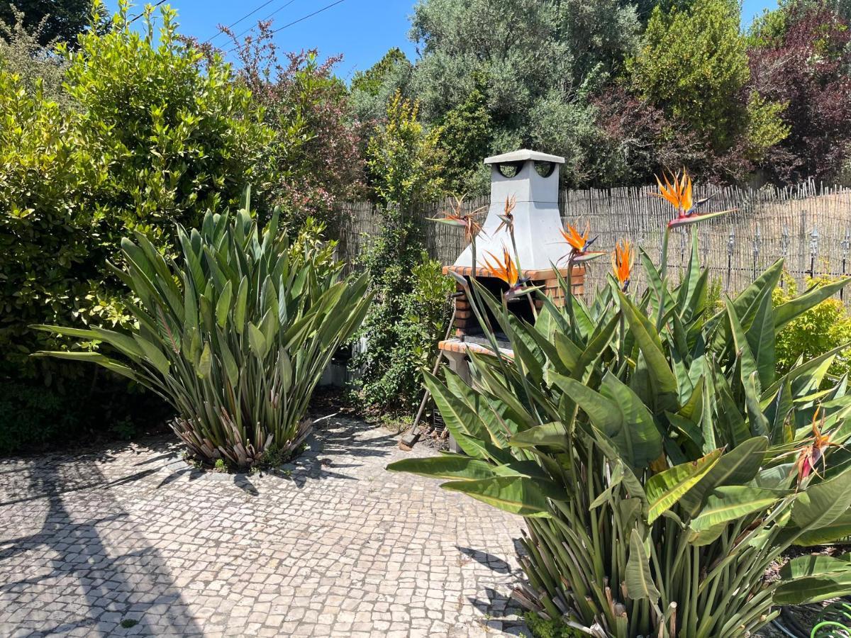 Casa Pausa Sesimbra Holiday Home Exterior foto
